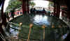 dazaifu_eng5x500.jpg (51186 oCg)