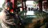dazaifu_fugii1x500.jpg (46923 oCg)