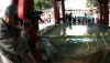 dazaifu_fugii2x500.jpg (44171 oCg)
