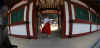 dazaifu_miko2x500.jpg (27282 oCg)