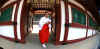 dazaifu_miko4x500x500.jpg (32774 oCg)