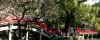 dazaifu_ume10x25_2018_3_11.jpg (130275 oCg)