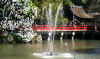 dazaifu_ume11x25_2018_3_11.jpg (189874 oCg)