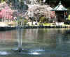 dazaifu_ume15x25_2018_3_11.jpg (112738 oCg)