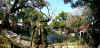 dazaifu_ume17x25_2018_3_11.jpg (144213 oCg)