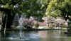 dazaifu_ume18x25_2018_3_11.jpg (199279 oCg)