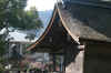 dazaifu_ume19x25_2018_3_11.jpg (139531 oCg)