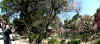 dazaifu_ume1x25_2018_3_11.jpg (119260 oCg)