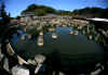 dazaifu_ume21x25_2018_3_11.jpg (85665 oCg)