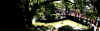 dazaifu_ume23x25_2018_3_11.jpg (71846 oCg)