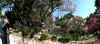 dazaifu_ume2x25_2018_3_11.jpg (113639 oCg)