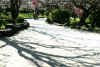 dazaifu_ume38x25_2018_3_11.jpg (161146 oCg)