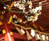 dazaifu_ume46x25_2018_3_11.jpg (83477 oCg)