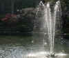 dazaifu_ume52_2018_3_11.jpg (133970 oCg)