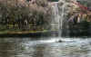 dazaifu_ume53x25_2018_3_11.jpg (121106 oCg)