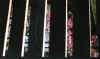 dazaifu_ume56x25_2018_3_11.jpg (50236 oCg)