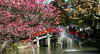 dazaifu_ume7x25_2018_3_11.jpg (204135 oCg)