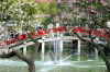 dazaifu_ume_802-0167_480.jpg (72821 oCg)