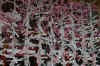 dazaifu_ume_802-0263_480.jpg (60680 oCg)