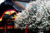 dazaifu_ume_802-0269_480.jpg (79701 oCg)