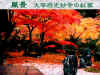 IMG043.JPG (50417 バイト)
