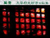 IMG044.JPG (29077 バイト)