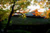 dazaifu_gaien793-9337_480_320.jpg (58833 oCg)