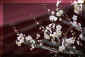 dazaifu_ume_3_320.jpg (20850 oCg)