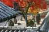 komyogi791_9105_480_320.jpg (54219 oCg)