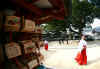 kouyou_dazaifu_15x25_2018_12_2.jpg (88262 oCg)