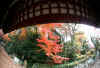 kouyou_dazaifu_17x25_2018_12_2.jpg (150607 oCg)