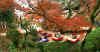 kouyou_dazaifu_22x25_2018_12_2.jpg (77711 oCg)