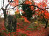 kouyou_dazaifu_kamado_28x25_2018_12_2.jpg (154505 oCg)
