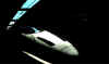 shinkanshen_tsubame.jpg_480.jpg (14560 �o�C�g)